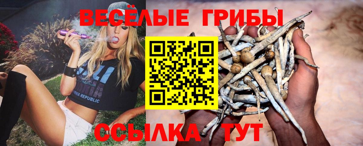 Каннабис  Кокаин  MDMA  ГАШИШ  Нурлат  Лсд 25  МЕФ кристаллы  Вход с VPN 